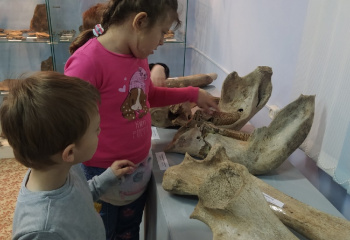 Занятие в детском клубе "Юный палеонтолог".