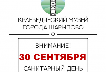 Санитарный день