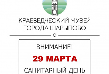 Санитарный день