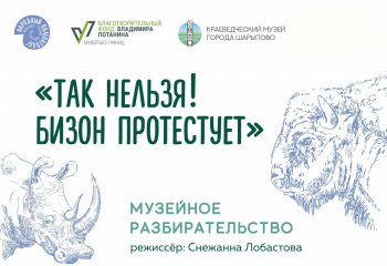«Так нельзя! Бизон протестует»! 