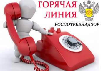 Горячая линия