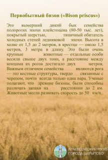 Животные плейстоцена