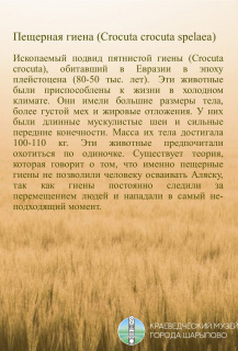 Животные плейстоцена