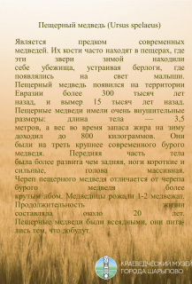 Животные плейстоцена