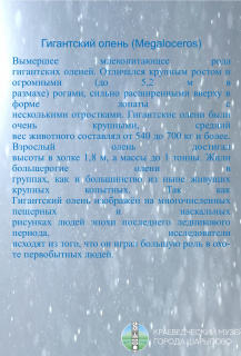 Животные плейстоцена
